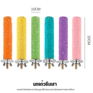 petsecret คอนลับเล็บ สำหรับนก คอนแบบติดกรง มีหลายสีหลายขนาดให้เลือก คอนไม้ คอนนก