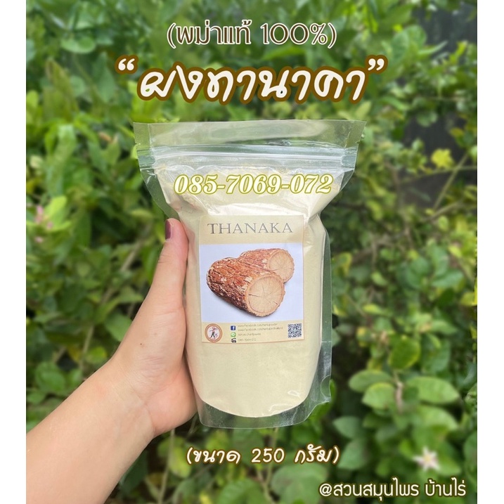 ทานาคา พม่าแท้ 100% (ขนาด 250 กรัม) : บริสุทธิ์ 1OO% [ผงสมุนไพรพอกผิว ขัดผิว] Thanaka Powder