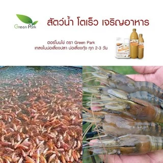 ฮอร์โมนไข่ ขนาด 1 ลิตร ตรา green park สูตรเข้มข้น แช่เมล็ด เร่งราก แตกตา ดอก ผล ดก ต้านทานโรค เพิ่มผลผลิต เพิ่มความหวาน