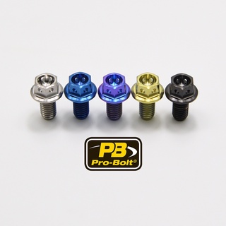 Pro-Bolt ไทเทเนี่ยม หัวเรซสเปค M5x10,12,15,20,25,30,40mm