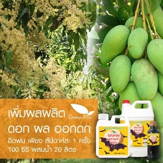จุลินทรีย์ มูลค้างคาว 100% ขนาด 1 ลิตร น้ำหมักมูลค้างคาว เข้มข้น คุณภาพสูง ตา ดอก ผล ดก น้ำหมัก ชีวภาพ ปุ๋ยน้ำ อีเอ็ม em
