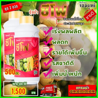 🔥🔥 ส่งฟรี 🔥🔥 ซีโฟ ปุ๋ยน้ำซีโฟ ( ขนาด 500 ซีซี  2 ขวด) บำรุงผล เร่งเติบโตผล ผลดกใหญ่ยืดอายุการเก็บเกี่ยว แกรมม่าทู เอฟอช