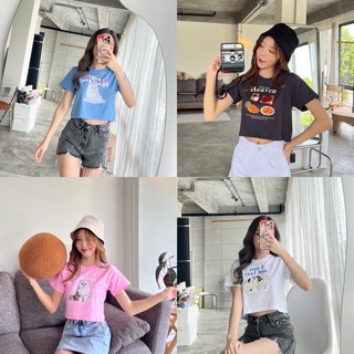 ✨เสื้อยืดครอปลายAnimals🎀ทรงน่ารักมาก🌟🌈ผ้าดีใส่สบายสุดๆ แมทช์ง่ายค่า💘