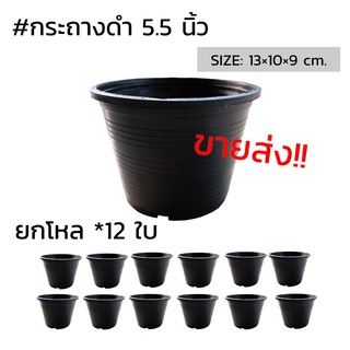 กระถางต้นไม้ 5.5 นิ้ว ขายส่งยกโหล