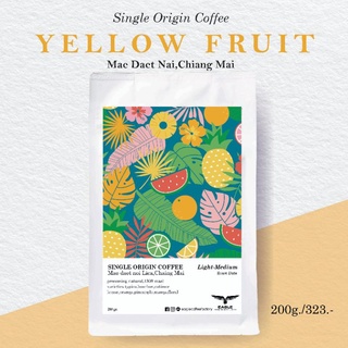 Yellow Fruit Mae daet noi,Chiang mai กาแฟบ้านแม่แดดน้อย จ.เชียงใหม่