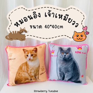 🐱หมอนอิงพิมพ์ลายแมว หมอนอิงใบใหญ่ลายแมวเหมียวขี้อ้อน หมอนนุ่มนิ่ม ราคาโรงงาน พร้อมส่ง มีเก็บปลายทาง🚚