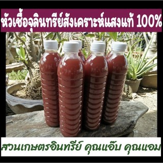 หัวเชื้อ จุลินทรีย์สังเคราะห์แสง 500 มล.มีอะมิโนและแร่ธาตุสูง เร่งโต เร่งดอก/ผล ปรับปรุงดิน ดินร่วนซุย เพิ่มไส้เดือนดิน