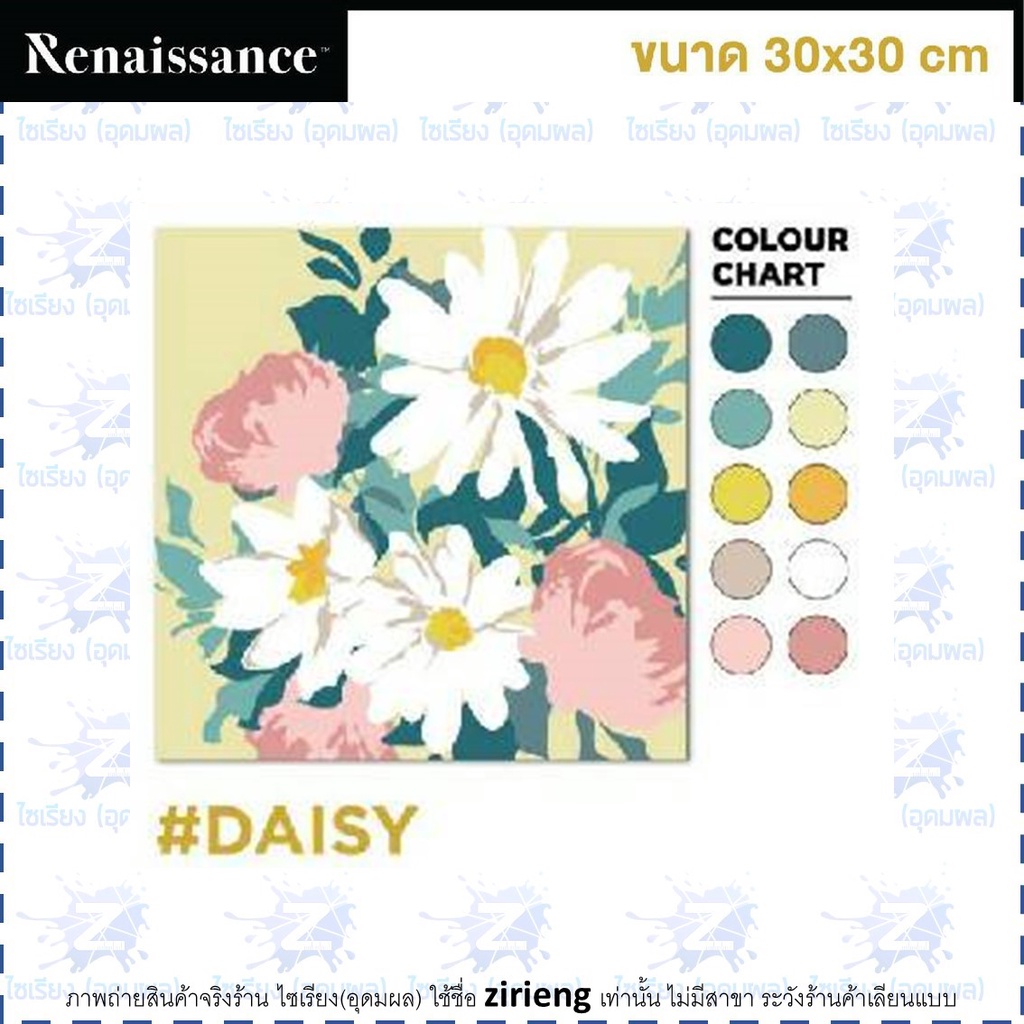 ชุดแคนวาส ระบายสีตามตัวเลข Renaissance Paint by Number Kit