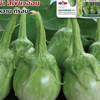มะเขือเปราะหยาดทิพย์ เจ้าพระยา เมล็ดพันธุ์ 20 ก. ตราศรแดง