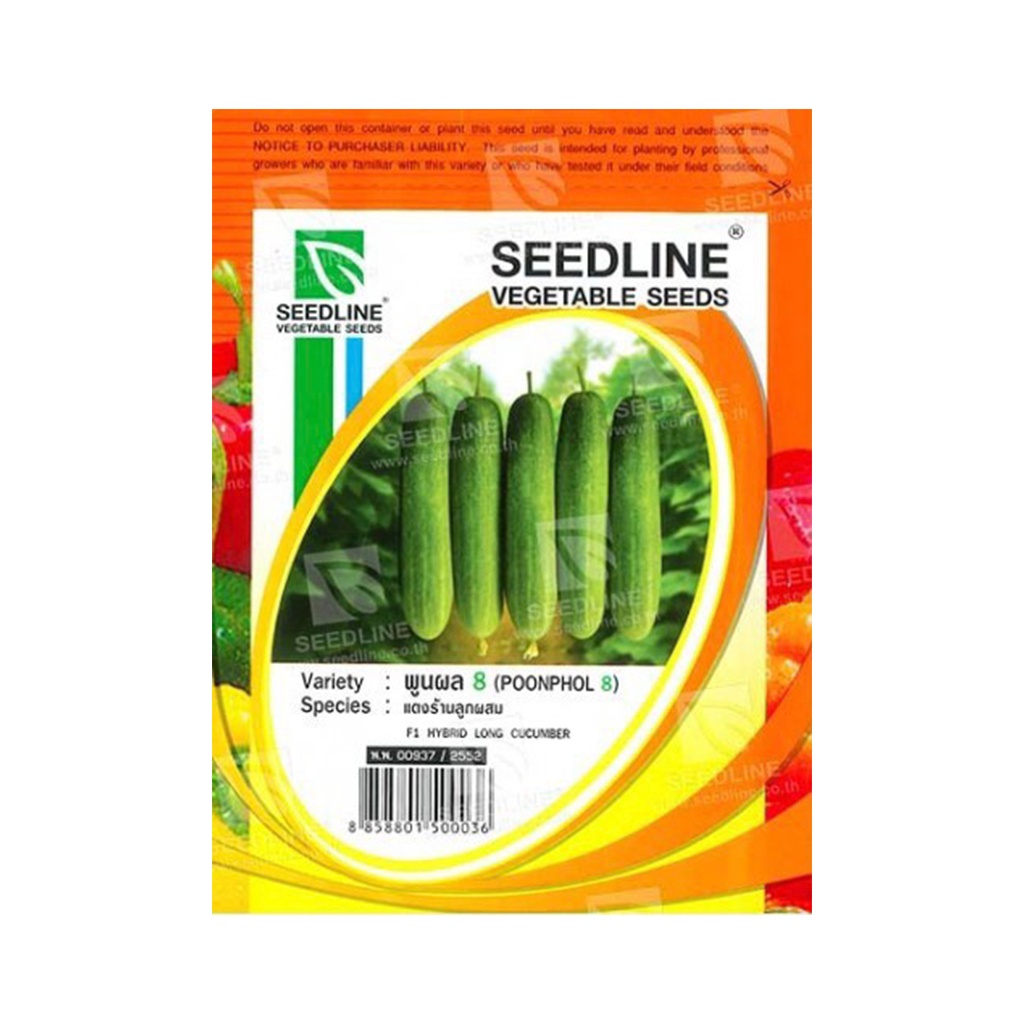 (พร้อมส่ง) SEEDLINE - เมล็ดแตงร้านลูกผสม (พูนผล 8)