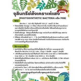 หัวเชื้อ จุลินทรีย์สังเคราะห์แสง PSB 600 ml. สูตรเข้มข้น พร้อมคู่มืออัตราส่วนการใช้และการขยายเชื้อ **หยกเพชรฟาร์ม**