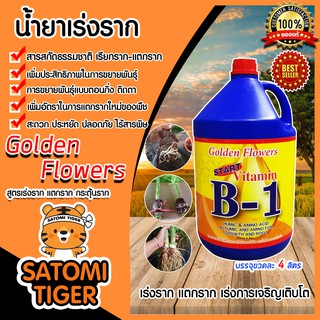 วิตามิน บี-1 น้ำยาเร่งราก ขนาด 4 ลิตร เรียกราก B-1 Golden Flower น้ำยาB1 กิ่งปักชำ แตกราก รากเยอะ รากฟู ตอนกิ่ง