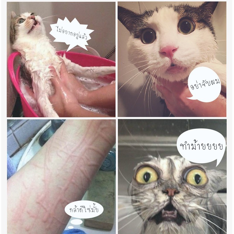 Doge&Orange พร้อมส่ง  ถุงอาบน้ำแมว ถุงตัดเล็บแมว เปลอาบน้ำสัตว์เลี้ยง ป้อนยา อเนกประสงค์ ใช้งานง่าย COD ST050 - รูปที่ 2