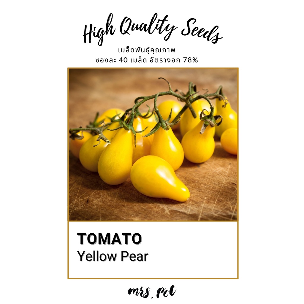 เมล็ดมะเขือเทศนำเข้า Yellow Pear Tomato รหัส024