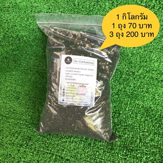 ดินปลูกแคคตัส Cactusonia (Cactus Soil) 1 กิโลกรัม/ดินปลูกบอนไซ/ดินปลูกฮาโวเทีย/ดินปลูกกุหลาบหิน/ดินปลูกไม้อวบน้ำ