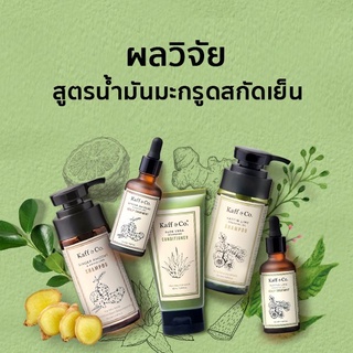 แชมพูมะกรูด เหง้าขิง แก้ผมร่วง ผมหงอก Kaff &amp; Co ผลิตภัณฑ์บำรุงเส้นผมและหนังศีรษะ  แชมพู ทรีทเม้นท์บำรุงหนังศีรษะ ผมมัน