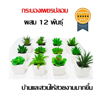 กระบองเพชรปลอม ผสม 12 พันธุ์ (ต้นไม้ปลอม)