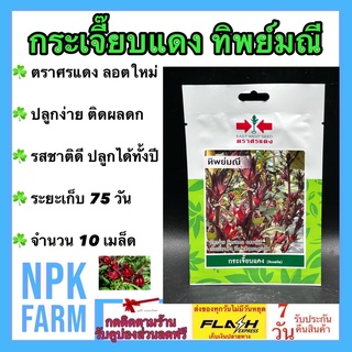 ผักซอง ศรแดง กระเจี๊ยบแดง ทิพย์มณี จำนวน 10 เมล็ด/ซอง เมล็ดพันธุ์ ลอตใหม่ งอกดี ปลูกง่าย ติดผลดก รสชาติดี ปลูกได้ทั้งปี