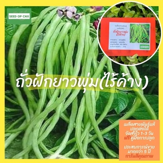 ☘️เมล็ดสายพันธุ์แท้หายาก☘️ ถั่วฝักยาวพุ่มไร้ค้าง 60 เมล็ด แท้💯% [ในร้านมีให้เลือกอีกเยอะมาก❗️]