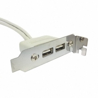 Chenyang สายเคเบิลเมนบอร์ด USB 2.0 ตัวเมีย สูง 8 ซม. เป็นสายเคเบิลเมนบอร์ด 9 พิน พร้อมตัวยึด PCI 30 ซม.