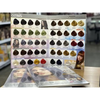 ชาร์ตสีผม แผงตัวอย่างผม ชาร์ตเทียบสี นิกาโอะ 1 เล่ม Nigao Hair Color Chart (ไม่ใช่สีย้อมผม)
