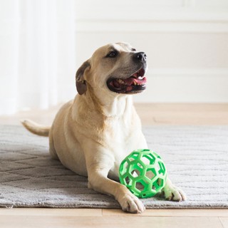 JW Hol-ee Roller Puzzle Dog Toy Ball โฮลี่ โรลเลอร์ บอลรังผึ้ง