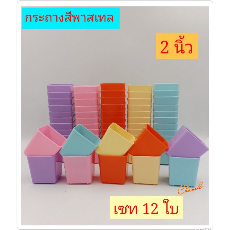 My Image 41