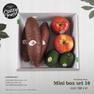 Premium fruit Mini box set 10