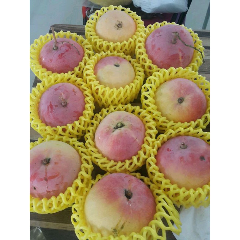 ผลมะม่วงแอปเปิ้ล R2E2 สายพันธุ์แท้