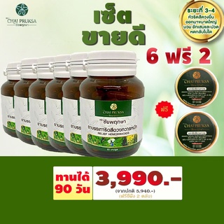 ชัยพฤกษา เซ็ตขายดี 6 กระปุก ฟรี ขี้ผึ้ง 2 ตลับ บรรเทาริดสีดวง ทวารหนัก ริดสีดวงภายนอก ริดสีดวงภายใน ระยะ 3-4