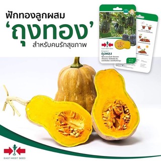 บัตเตอร์นัท Butternut เมล็ดพันธุ์ฟักทอง (Pumpkin seeds) ถุงทอง F1 เมล็ดพันธุ์ ผักสวนครัว ตราศรแดง