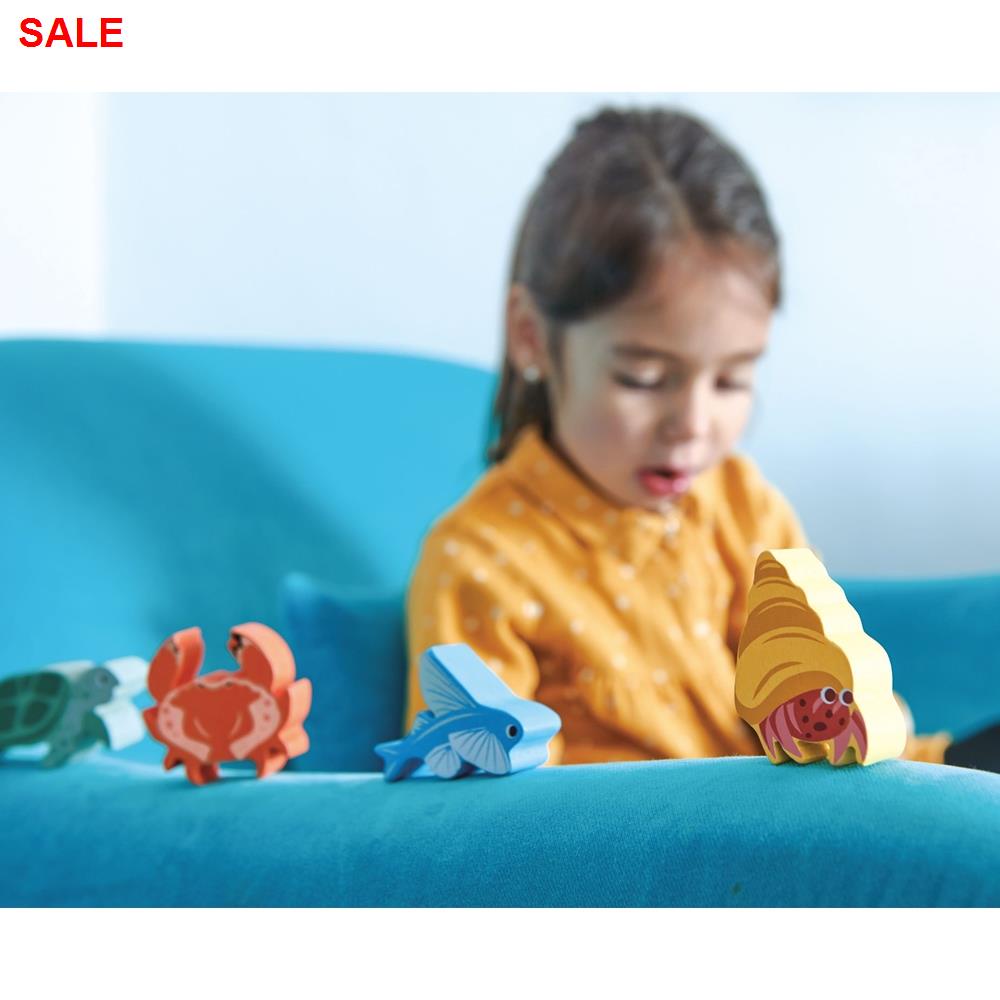 ♨Totty Books (Age 3 - 7) 1 - 10 Counting Owls Activity Set (Learning Resources)