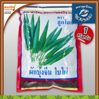 เมล็ดพันธุ์ผักบุ้ง ผักบุ้งจีนใบไผ่ ไผ่เขียว (1 กิโลกรัม) เมล็ดผักบุ้งจีนเรียวไผ่ เมล็ดพันธุ์ผักสวนครัว ตราลูกโลก