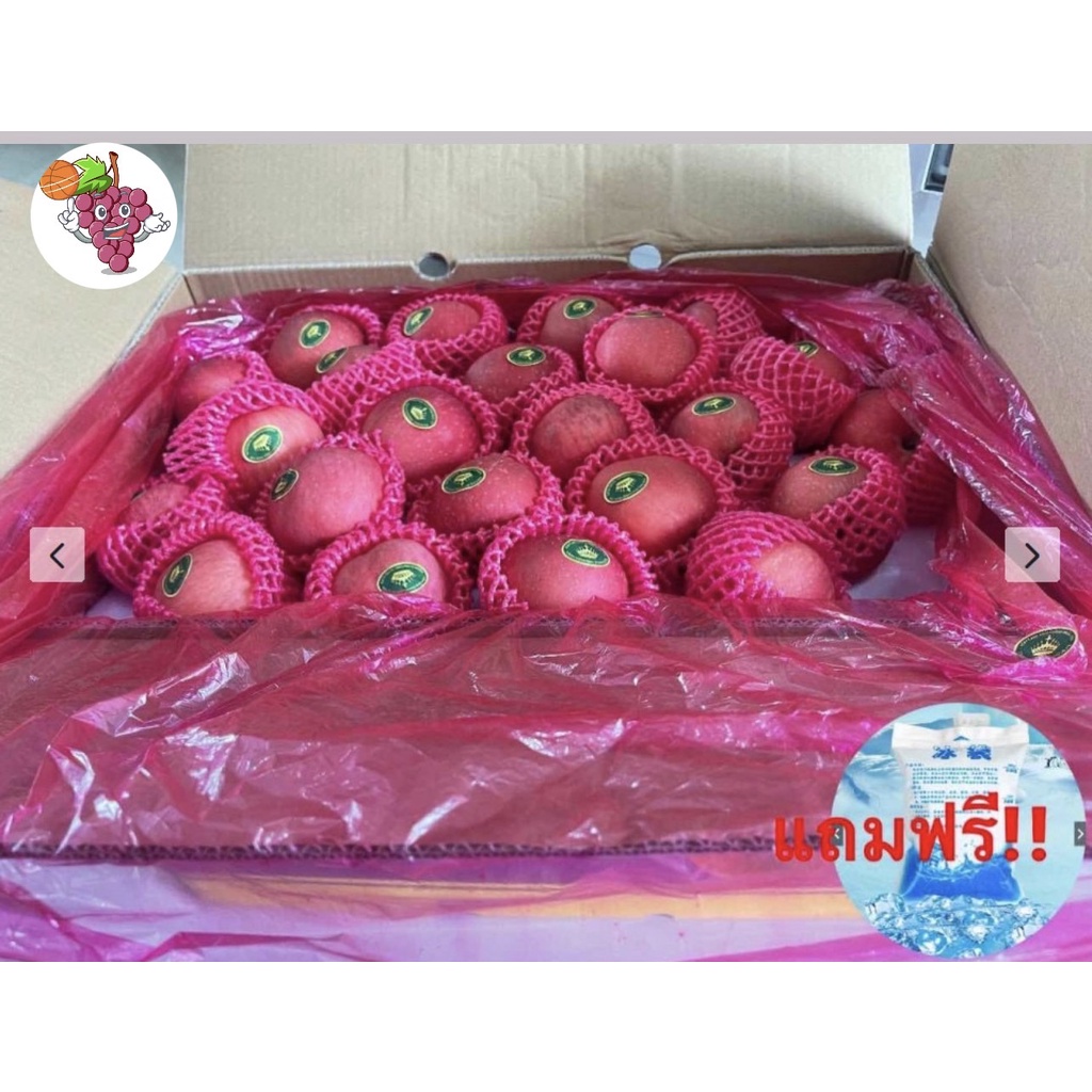 แอปเปิ้ลฟูจิ (ยกลัง) APPLE FUJI (CHN) ลดพิเศษ ผลไม้สด แอปเปิ้ลสด ผลไม้ต่างประเทศ ผลไม้พรีเมี่ยม ขายส