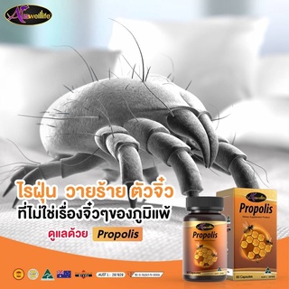 ดูแลสุขภาพให้แข็งแรงและปลอดภัยด้วย Auswelllife Propolis