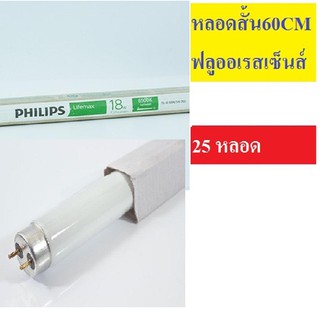 หลอดนีออน Philips หลอดฟลูออเรสเซนต์ T8 แสงขาว ยกลัง สั้น หรือ ยาว ส่งฟรี ฟิลลิป์ สนใจใบกำกับภาษีบอกได้ สำหรับซื้อไปขาย