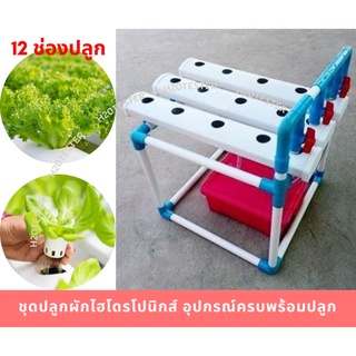 ชุดปลูกผัก ไฮโดรโปนิกส์ 12, 42ช่องปลูก ครบชุด ซื้อไปปลูกได้กินผักเลย Home hydroponics system. #Easy to assemble system.