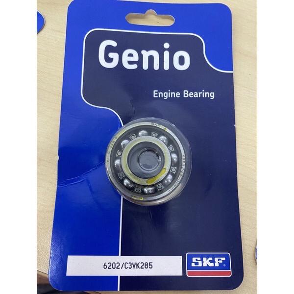 SKF GENIO BEARING C3 6003 / 6202