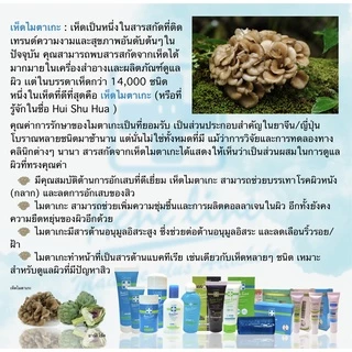 แอคเน่ ไลค์ ไมตาเกะ พลัส อาร์ติโช๊ค แอคเน่ โฟม (ACNE LINE MAITAKE PLUS ARTICHOKE ANCE FOAM)
