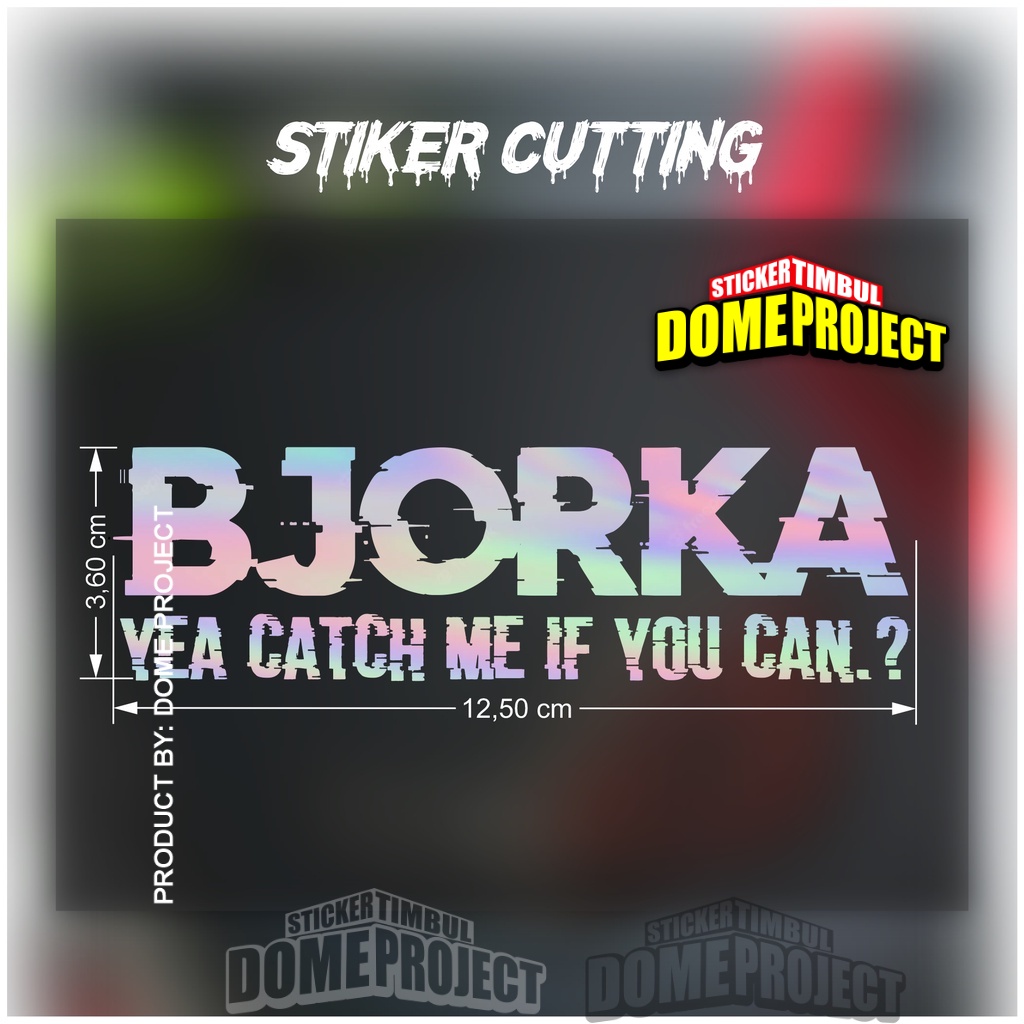 สติ๊กเกอร์ตัด BJORKA – สติ๊กเกอร์โฮโลแกรมระดับพรีเมียมสุดเท่ CATCH ME IF YOU CAN