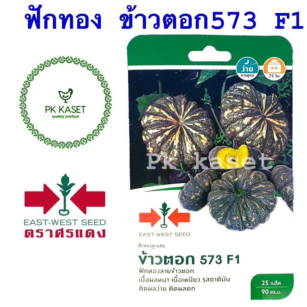 เมล็ดฟักทอง ข้าวตอก 573 F1 ตราศรแดง เมล็ดฟักทองลายข้าวตอก เมล็ดพันธุ์ฟักทอง เมล็ดพันธุ์ผัก เมล็ดผักสวนครัว
