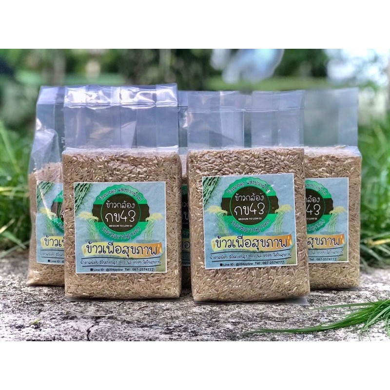 ข้าวกล้องกข43 ข้าวเพื่อสุขภาพ