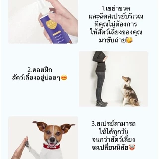 PP-356 สเปรย์ฝึกขับถ่าย สำหรับสัตว์เลี้ยง ฝึกฉี่ ฝึกขับถ่าย สำหรับสุนัขและแมว ปลอดภัย ไร้สารตกค้าง พร้อมส่ง! 🐶🐱