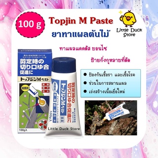 ยาทาแผลต้นไม้ Topjin M Paste 100 g ยาป้ายกิ่ง ป้องกันเชื้อรา ดรายแบล็ค