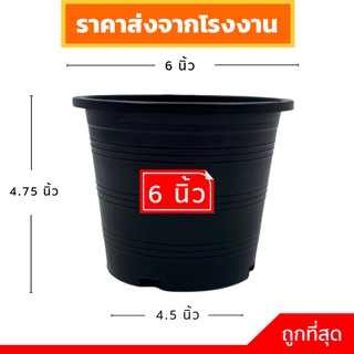 กระถางต้นไม้พลาสติก
 กะถางต้นไม้
 กระถางพลาสติก
 กระถางดำ สีดำ 6 นิ้ว