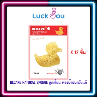 Becare ฟองน้ำ ลูกเจี๊ยบ ของแท้ 100% Natural Sponge ฟองน้ำอนามัย ฟองน้ำแท้จากธรรมชาติ 12 ชิ้น