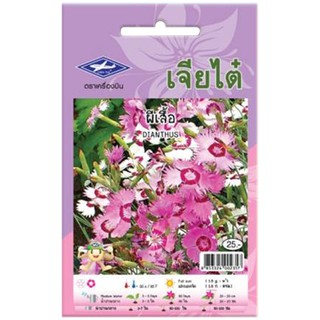 DIANTHUS CHIA TAI SEED เมล็ดพันธุ์ผีเสื้อ เมล็ดพันธุ์ ปุ๋ยและเมล็ดพันธุ์ สวนและอุปกรณ์ตกแต่ง DIANTHUS CHIA TAI SEED