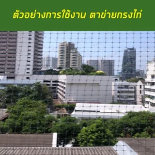 ตาข่ายกรงไก่ ตาข่ายกันนก ตาข่ายพลาสติก ป้องกันนกพิราบ กว้าง 1เมตร x 30 เมตร สีดำ/สีเงิน