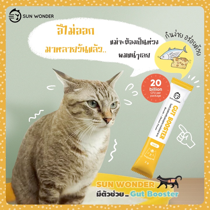Gut Booster ผงโพรไบโอติก สำหรับแมว ปรับสมดุลลำไส้ แก้ท้องเสีย ท้องผูก อาเจียน เสริมภูมิ - รูปที่ 5