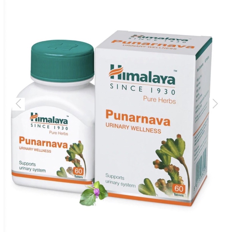 Himalaya Punarnava สมุนไพรบำรุงระบบปัสสาวะ ที่มีปัญหา